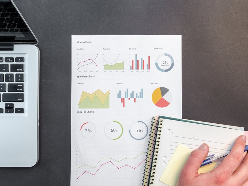 Como os CEOs geram resultados com Interinos