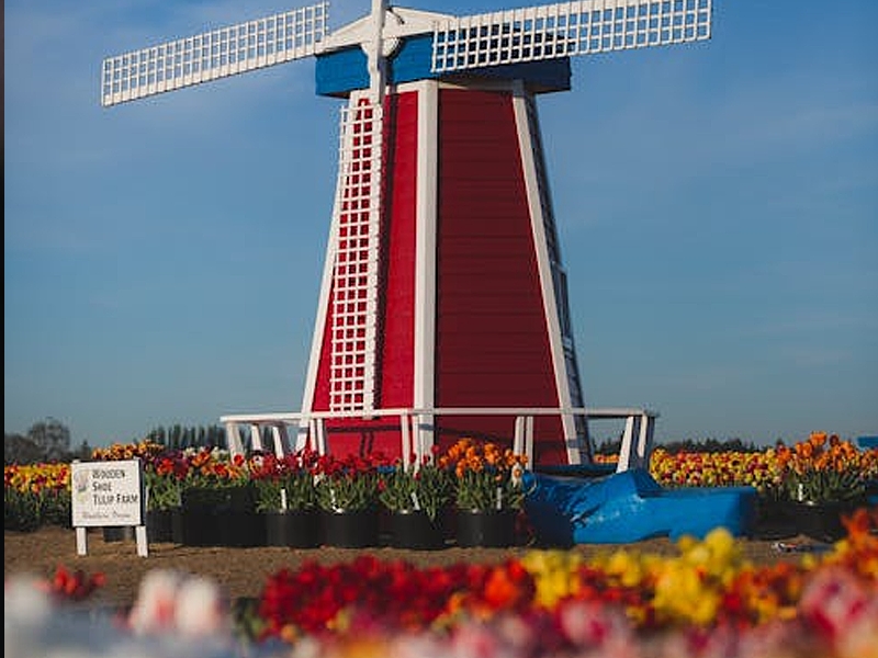 O que tem a ver a GEST�O EMPRESARIAL DE ALTO N�VEL com as toucas holandesas de pontas das abas para baixo ou para cima?